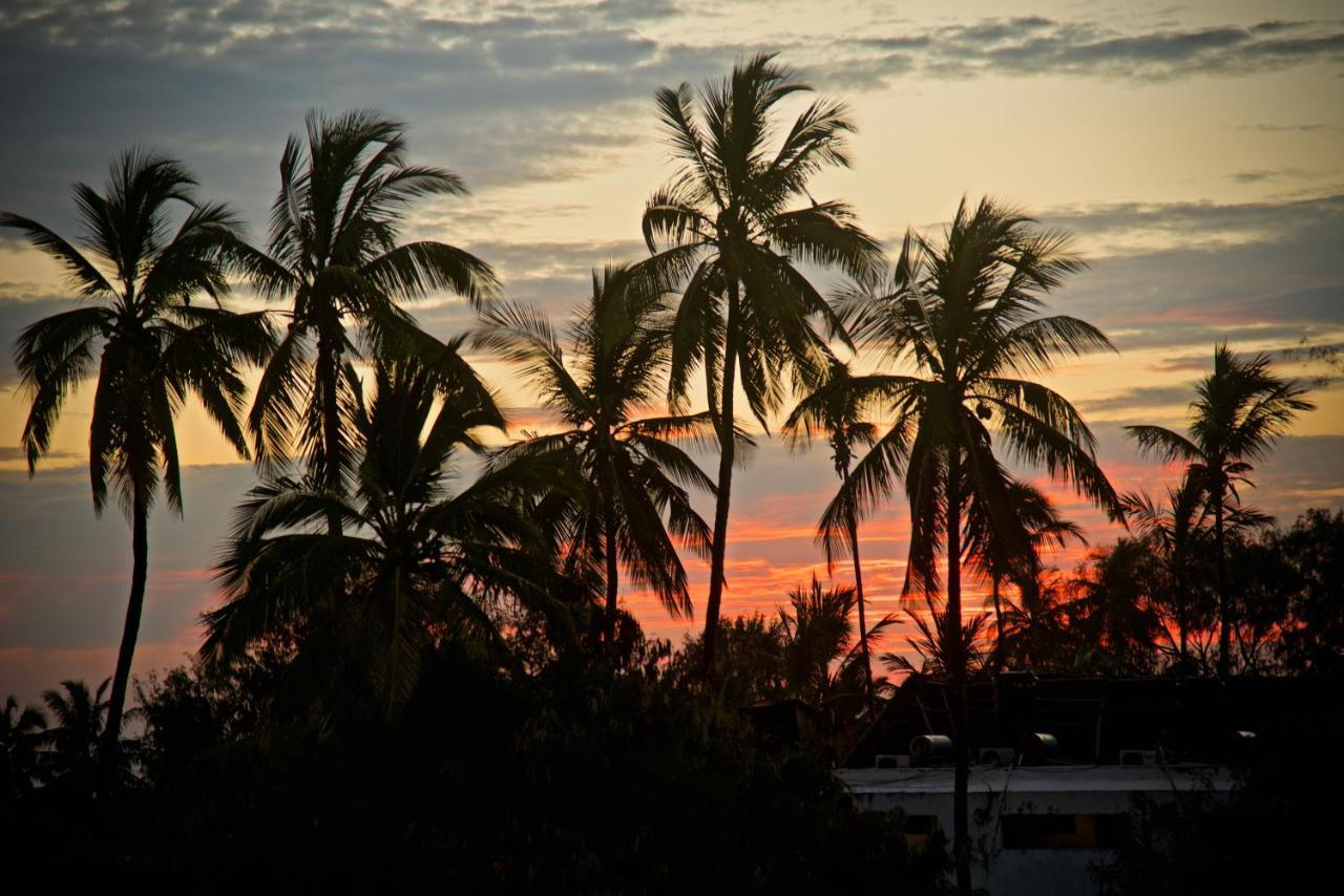 Meck'S Inn Lodge Nungwi Buitenkant foto